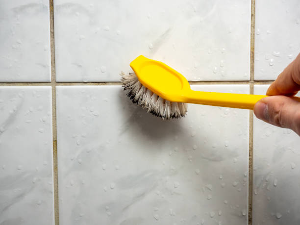 Best Mold Testing  in Indian Trail, NC