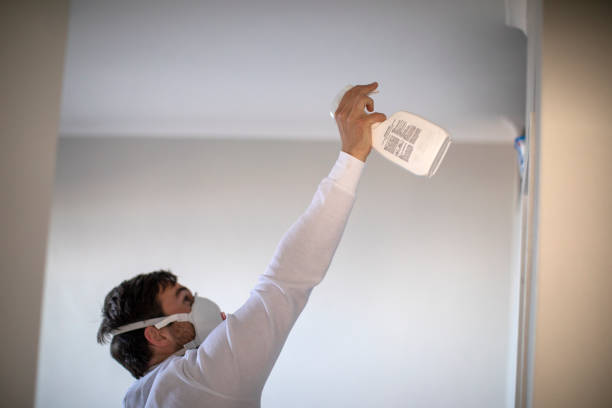 Best Mold Remediation  in Indian Trail, NC