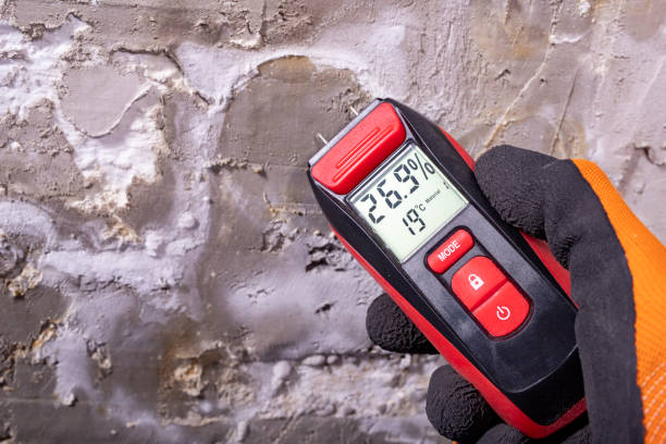 Certified Mold Removal in Indian Trail, NC